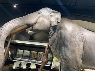 滋賀県立琵琶湖博物館に投稿された画像（2024/7/4）