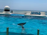 鴨川シーワールドに投稿された画像（2024/7/4）