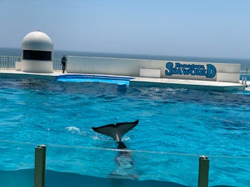 鴨川シーワールドに投稿された画像（2024/7/4）