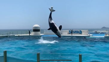 鴨川シーワールドに投稿された画像（2024/7/4）