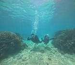 marine assist DEMI（マリンアシストデミ）に投稿された画像（2024/7/4）