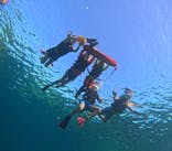  マリンショップHAPPYに投稿された画像（2024/7/4）