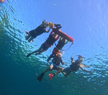  マリンショップHAPPYに投稿された画像（2024/7/4）