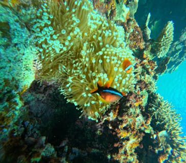  マリンショップHAPPYに投稿された画像（2024/7/4）