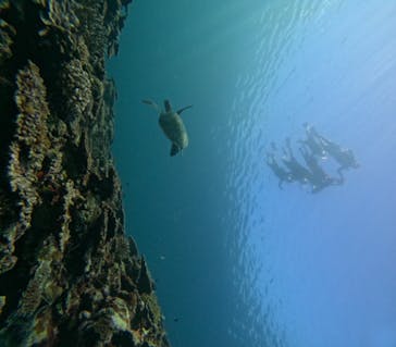  マリンショップHAPPYに投稿された画像（2024/7/4）