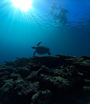  マリンショップHAPPYに投稿された画像（2024/7/4）