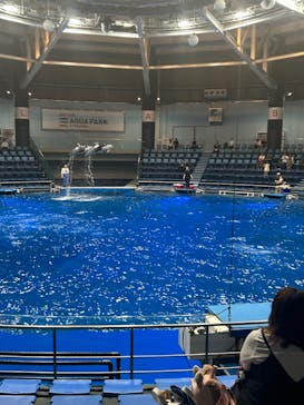 マクセル アクアパーク品川に投稿された画像（2024/7/4）