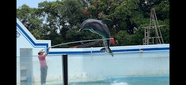 しながわ水族館に投稿された画像（2024/7/4）