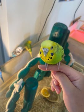 アニタッチPARKイオンモール太田に投稿された画像（2024/7/4）