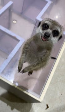 アニタッチPARKイオンモール太田に投稿された画像（2024/7/4）