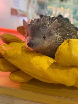 アニタッチPARKイオンモール太田に投稿された画像（2024/7/4）