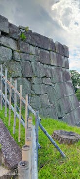 元離宮二条城に投稿された画像（2024/7/4）