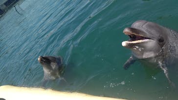 アソビュー！ポイントに投稿された画像（2024/7/4）