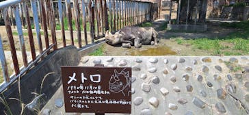 日立市かみね動物園に投稿された画像（2024/7/5）
