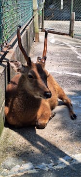 日立市かみね動物園に投稿された画像（2024/7/5）