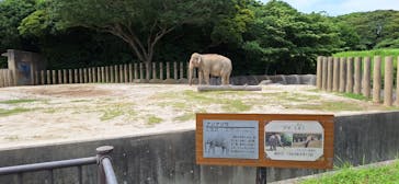 千葉市動物公園に投稿された画像（2024/7/5）
