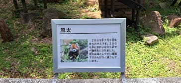 千葉市動物公園に投稿された画像（2024/7/5）