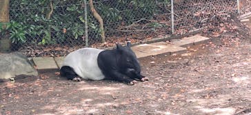 千葉市動物公園に投稿された画像（2024/7/5）