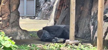 千葉市動物公園に投稿された画像（2024/7/5）