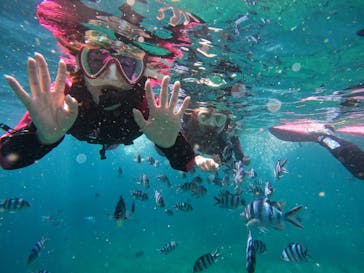 沖縄マリンサービス碧に投稿された画像（2024/7/5）