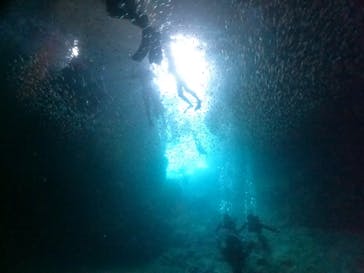 武藤潜水に投稿された画像（2024/7/5）