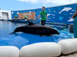 仙台うみの杜水族館に投稿された画像（2024/7/5）