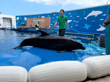 仙台うみの杜水族館に投稿された画像（2024/7/5）
