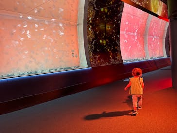 アクアワールド茨城県大洗水族館に投稿された画像（2024/7/5）