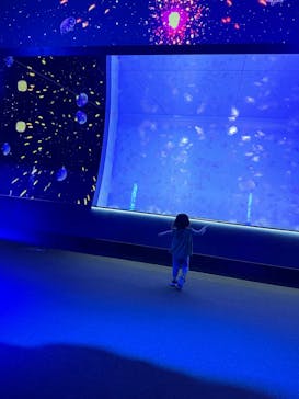 アクアワールド茨城県大洗水族館に投稿された画像（2024/7/5）