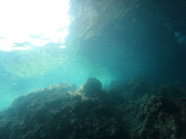 武藤潜水に投稿された画像（2024/7/5）