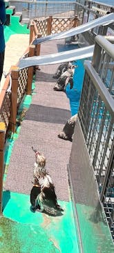 伊豆・三津シーパラダイスに投稿された画像（2024/7/5）