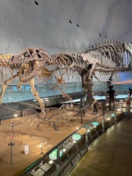 福井県立恐竜博物館に投稿された画像（2024/7/5）