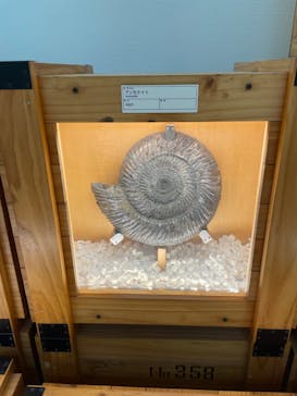 福井県立恐竜博物館に投稿された画像（2024/7/5）