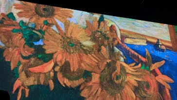 Immersive Museum OSAKA 2025に投稿された画像（2024/7/5）