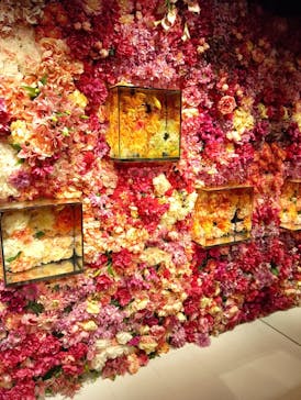 NARA KINGYO MUSEUMに投稿された画像（2024/7/5）