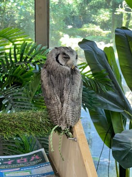 伊豆シャボテン動物公園に投稿された画像（2024/7/5）