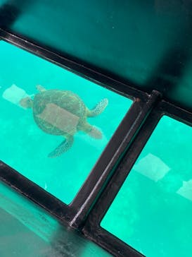 まりんはうすぐるくんに投稿された画像（2024/7/5）