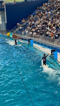 横浜・八景島シーパラダイス　プレジャーランドに投稿された画像（2024/7/5）