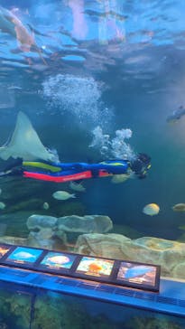しながわ水族館に投稿された画像（2024/7/5）