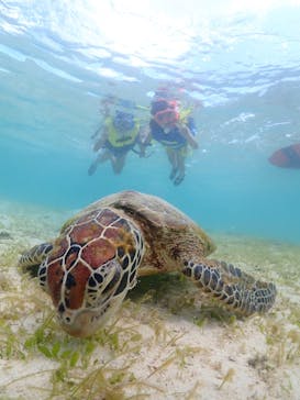 宮古島マリン GB QUESTに投稿された画像（2024/7/5）