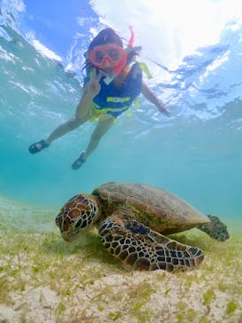 宮古島マリン GB QUESTに投稿された画像（2024/7/5）