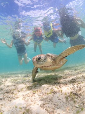 宮古島マリン GB QUESTに投稿された画像（2024/7/5）