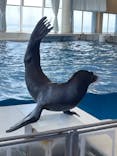アクアワールド茨城県大洗水族館に投稿された画像（2024/7/5）