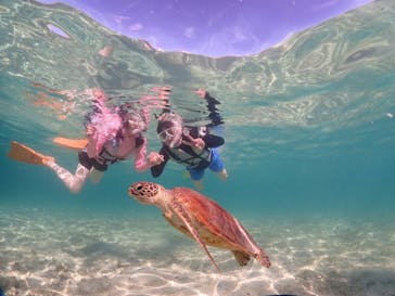 ちゃこたびに投稿された画像（2024/7/5）