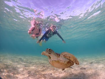 ちゃこたびに投稿された画像（2024/7/5）