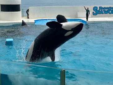 鴨川シーワールドに投稿された画像（2024/7/5）