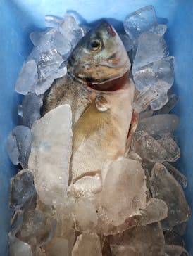 うみんぐ大島に投稿された画像（2024/7/5）