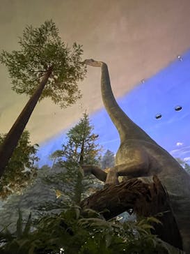 福井県立恐竜博物館に投稿された画像（2024/7/5）