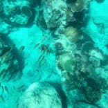 JAM（ジャム）マリンクラブに投稿された画像（2024/7/6）