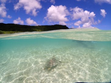 初心者専門宮古島シュノーケリングツアーに投稿された画像（2024/7/6）